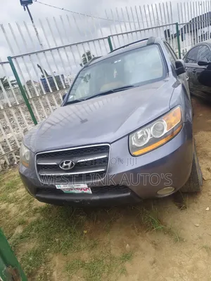 Hyundai Santa Fe 2008 Gray