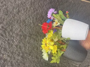 High Quality Cup Flower Plant