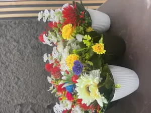 High Quality Cup Flower Plant