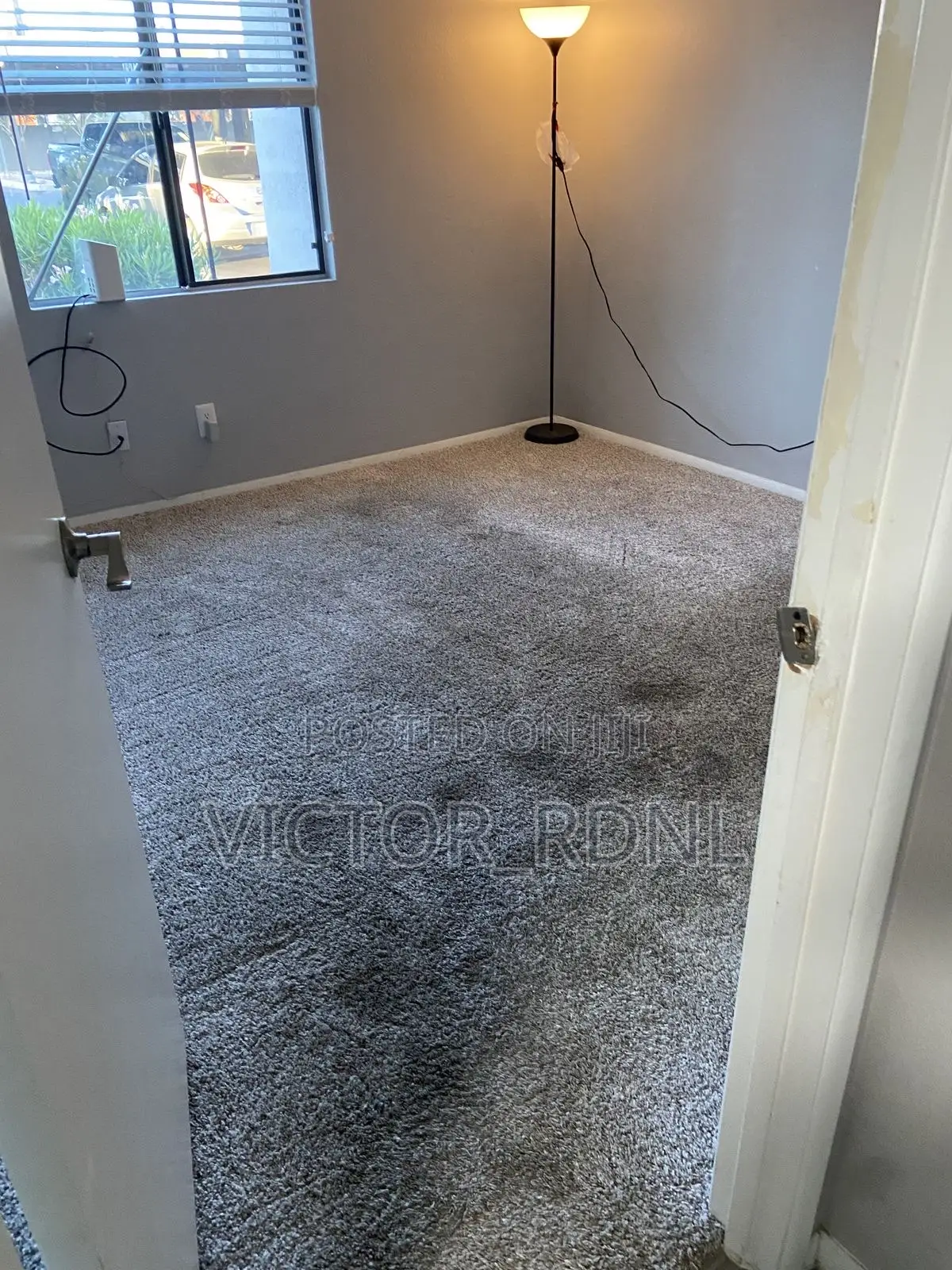 Lush Vip Rug Carpets