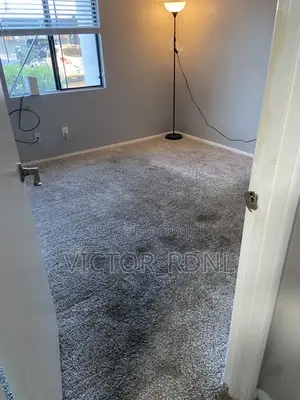 Lush Vip Rug Carpets