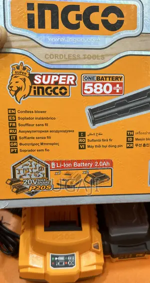 20v Ingco Blower