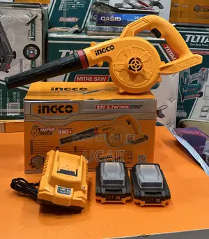 20v Ingco Blower