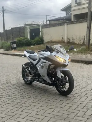 Photo - Kawasaki Ninja 300 2014 White