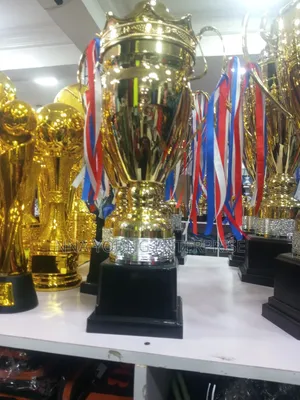 Trophy Award Cup