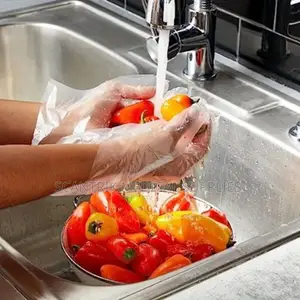 Hdpe Protective Gloves for House Cleaning (1000pcs)