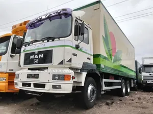 Photo - Man Diesel Truck Head