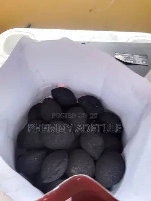 Briquettes Charcoal