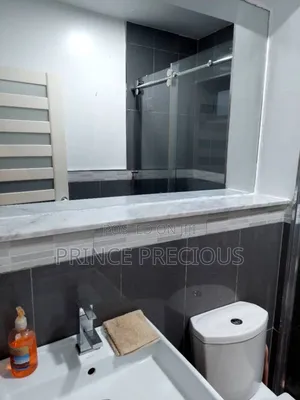 Furnished Mini Flat in Lekki, Ikate for rent
