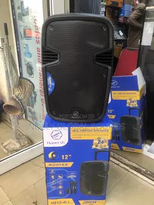 12 Inches Public Addressing System