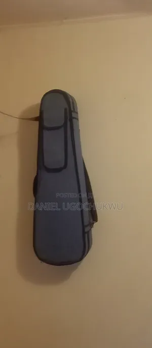 Acoustic Violin