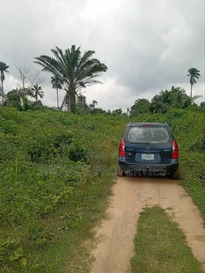 For Sale: Plots of Land at Ipo International Airport