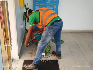 Conventional Fire Alarm System Maintenance