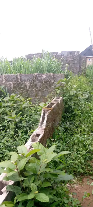 Photo - 300 Square Meters (Sqm).