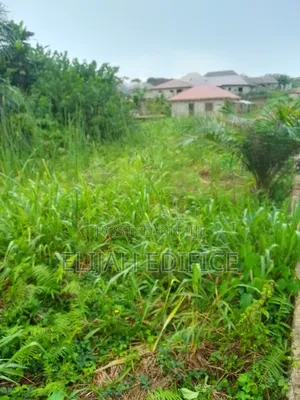 Half Plot at Parkview Estate, Ikorodu Lagos
