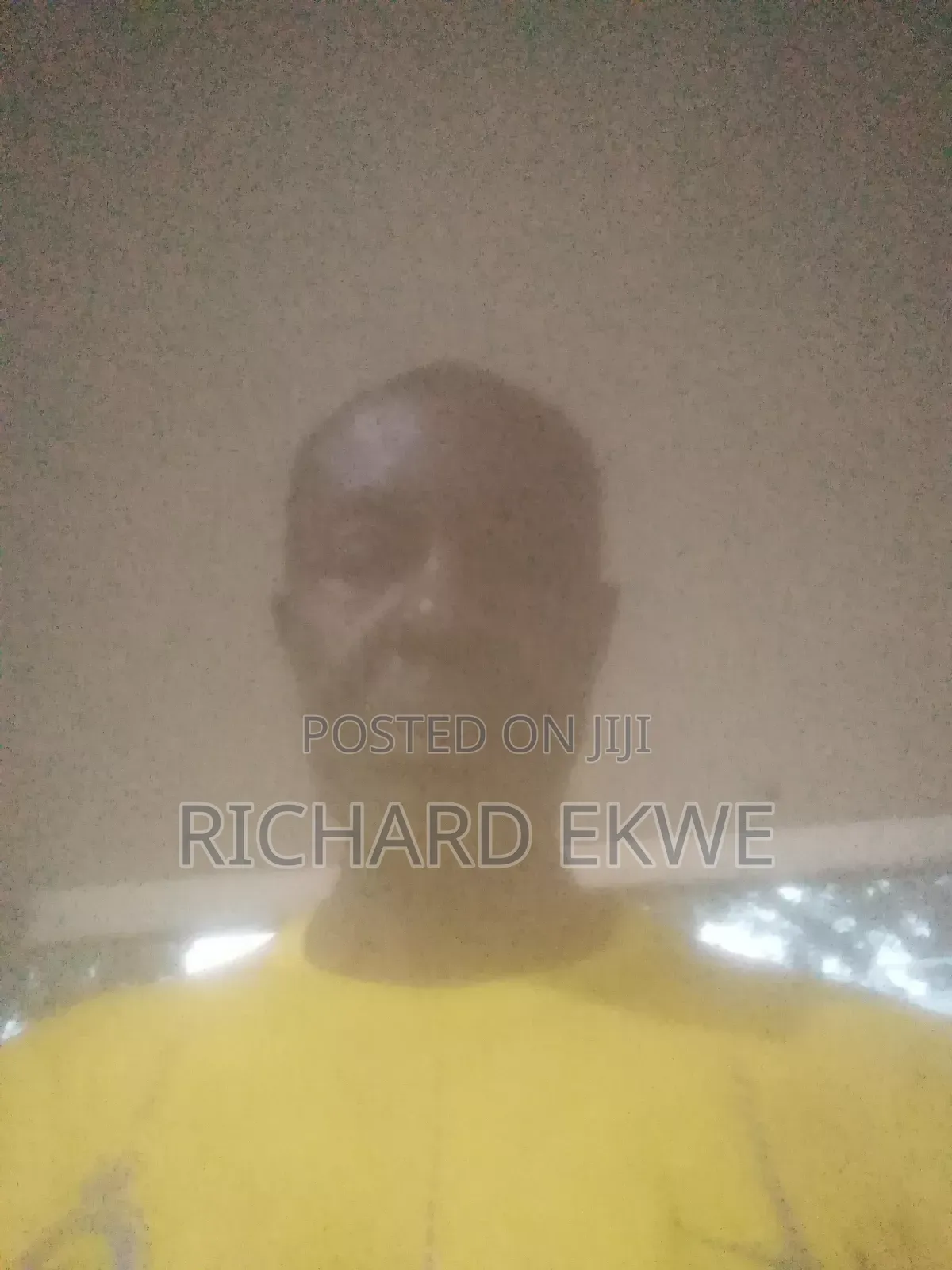 Mr.Richard I. Ekwe