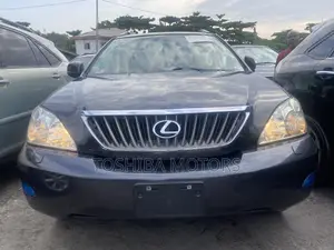 Lexus RX 350 2009 Gray