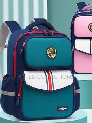Ayan School Bags