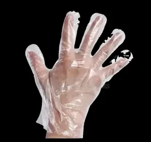 Premium Disposable Hdpe Nylon Gloves (1000pcs Bag)