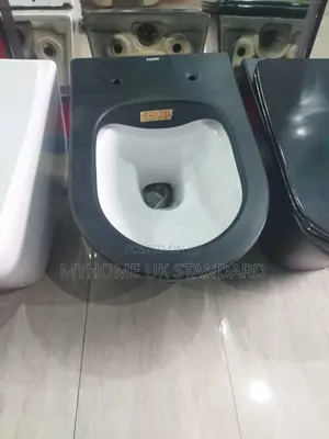 Black Concealed Wc