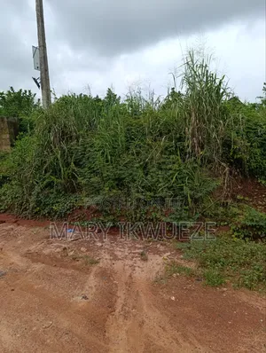 Photo - Residential Land in a Fast Developing Area Amagba.