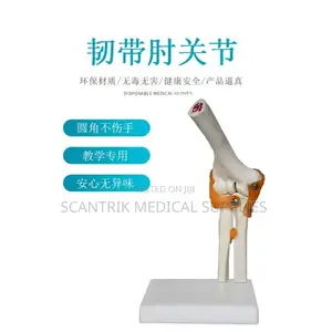Clinical Elbow Ligament Educational Aid