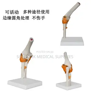 Articulated Elbow Joint With Ligament Representation