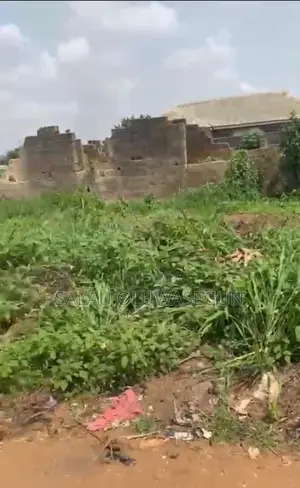 Half Plot of Land