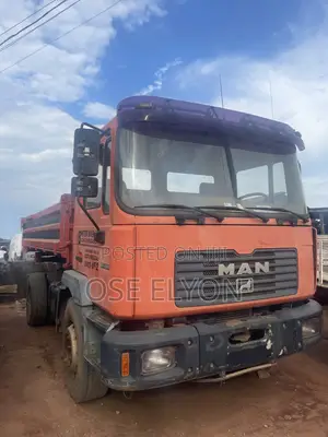 Man Volks Truck 18.284