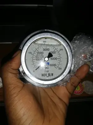 Gauge 6000 Psi
