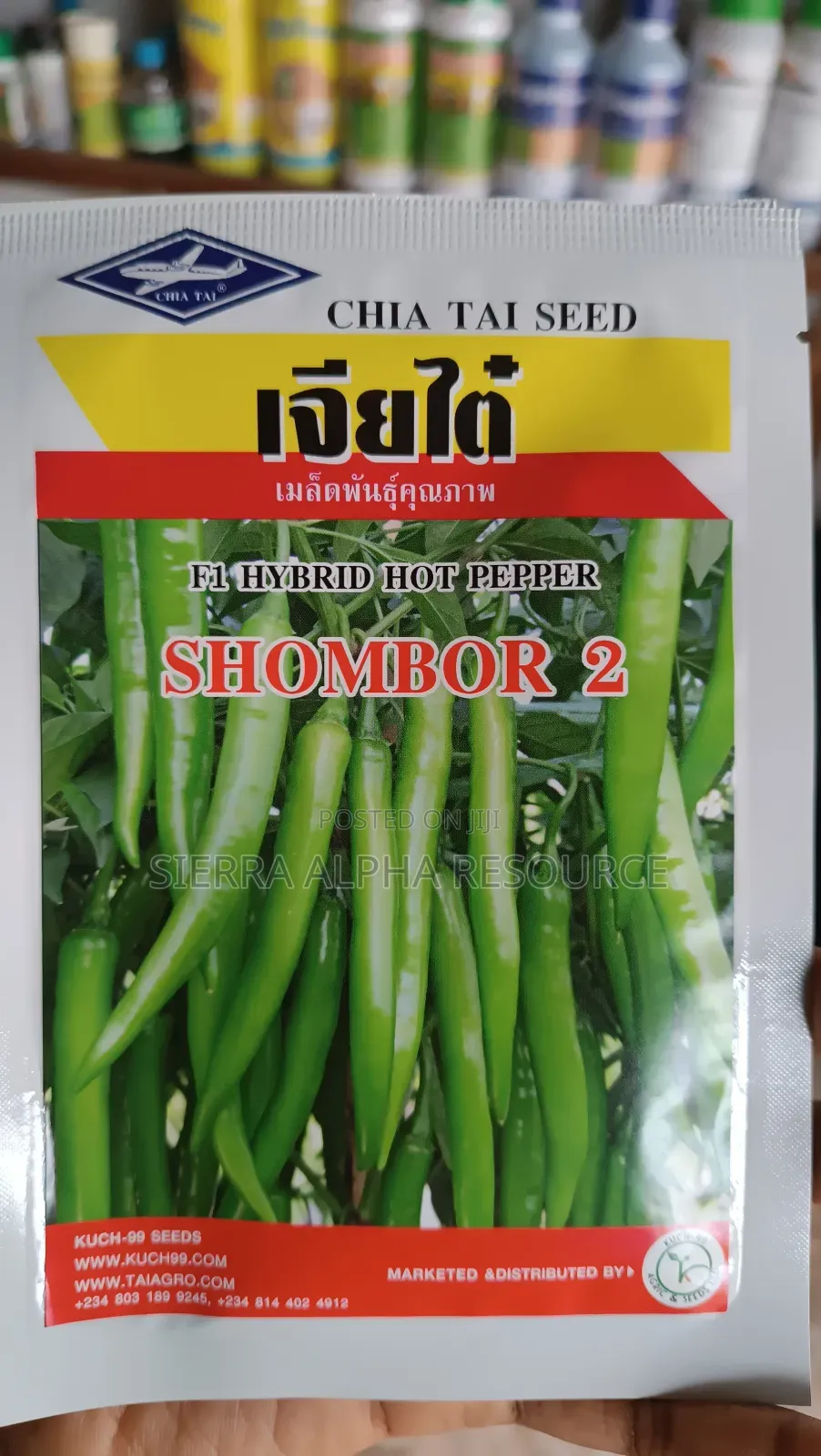 Chili Seeds