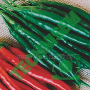 Chili Seeds