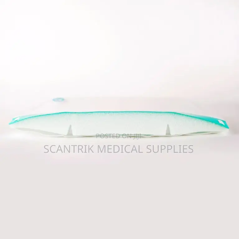 Face Protector Shield With White Elastic Band