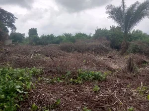 820sqm Prime Plot of Dry Land Ready for Development