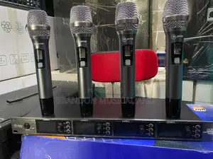 4 in One Wireless Microphone