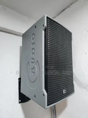 C Audio Wall Hanging Speaker