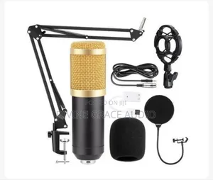 Complete Studio With Stand Mic and Pop Filter Cable