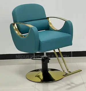 Solid Salon and Spa Chair