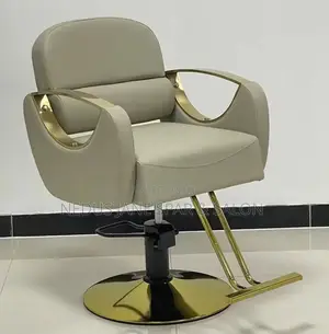 Solid Salon and Spa Chair