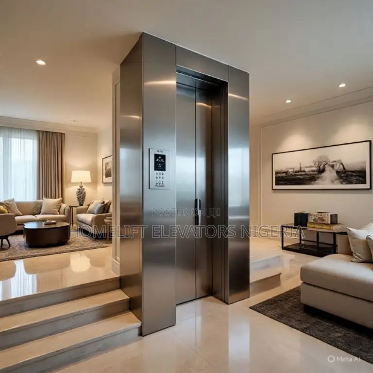 Elderly Home Elevator With Caregiver