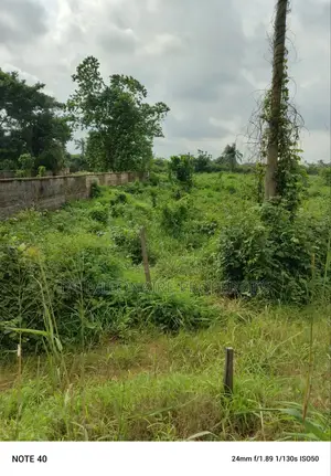 5plots Along Toronto Orji Road