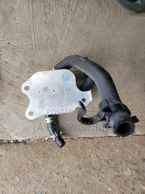 Coolant for Toyota Rav4 2020 Model