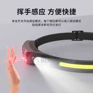 Salon Head Lamp