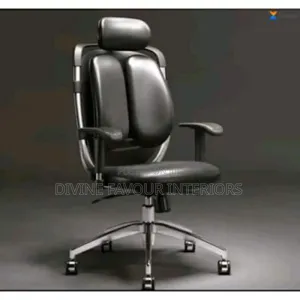 Ergonomic Office Kidney Chair With Adjustable Armrests