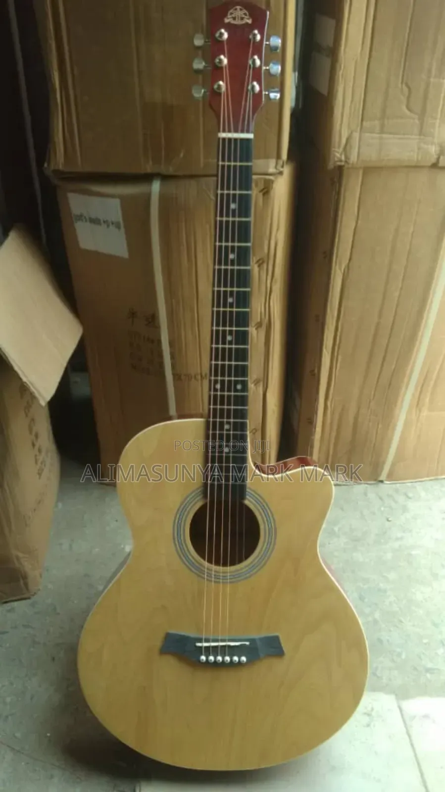 Acoustic Guitar