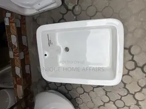 Befart Sink ( Laundry Basin)