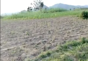 Photo - 15 Hectares of Farm Land at Kuje