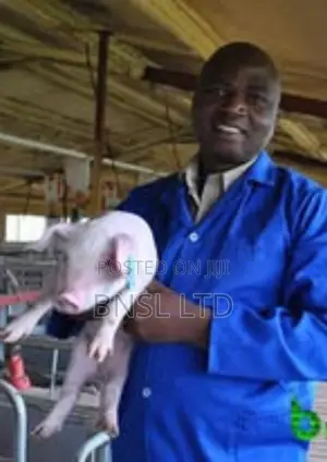 Bio-mix Pig Breeder- Customize Premix (Per Kg)
