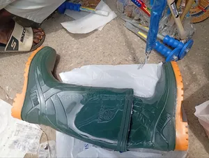 Rain Boot Ordinary