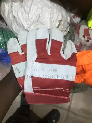 Safety Gloves (Dozen)